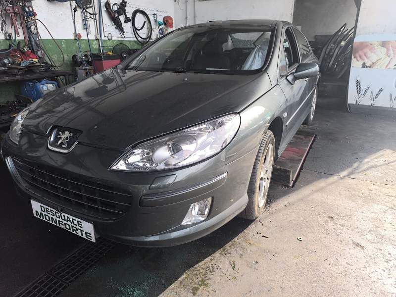 PEUGEOT 407 (6D_)