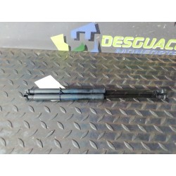 Desguace MonforteAMORTIGUADORES CAPO 51237060550 BMWAmortiguadores capo|Desguace Monforte