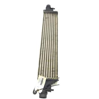 INTERCOOLER 39059787 