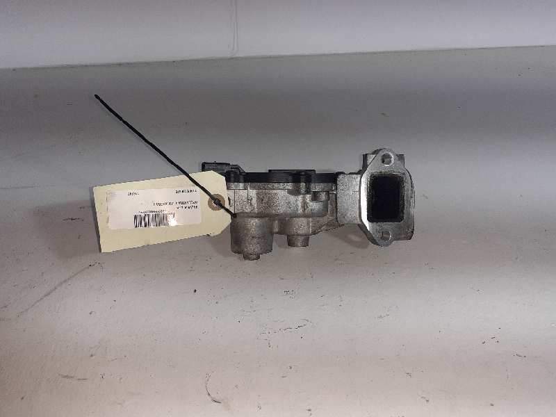 VALVULA EGR 119620130622 