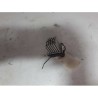 Desguace MonforteRESISTENCIA CALEFACCION 4B0820521 5DS00646702 AUDIResistencia calefaccion|Desguace Monforte