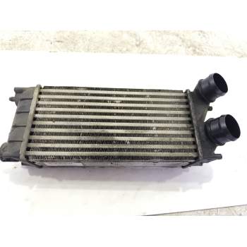 INTERCOOLER 0384N9 