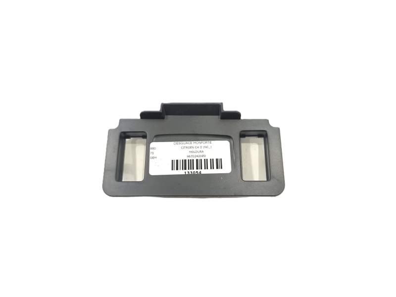 MOLDURA 96702420ZD 