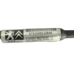 Desguace MonforteCAMARA 9812503980 PEUGEOTCamara|Desguace Monforte