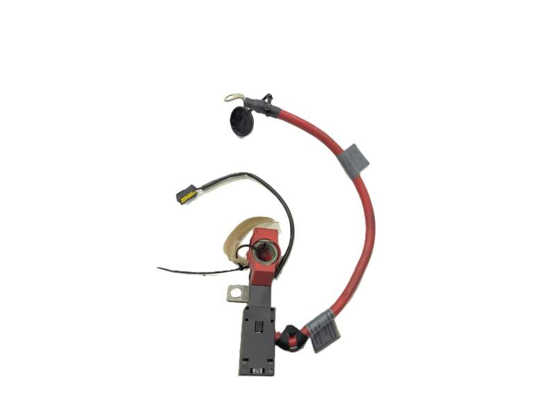 CABLE 10304410 