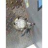 Recambio de bomba direccion para peugeot 406 berlina (s1/s2) srdt referencia OEM IAM 96408330580 7617955506 