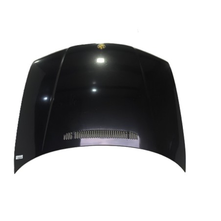 Recambio de capot para bmw serie 3 berlina (e46) 318 i compact referencia OEM IAM 41617016417  
