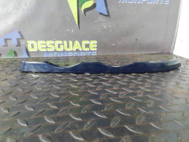 MOLDURA 51138208481 