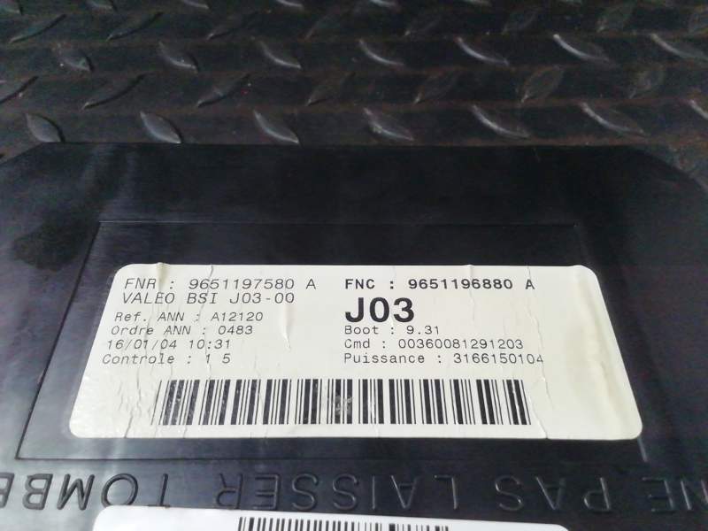 CAJA RELES / FUSIBLES 9651196880 J03 