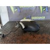 Recambio de retrovisor izquierdo para ford fiesta (cb1) ambiente referencia OEM IAM 1753824 1753824 
