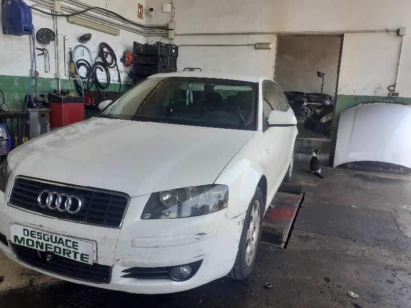 AUDI A3 (8P1)