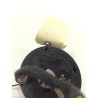Desguace MonforteANILLO AIRBAG A1695406145 MERCEDES-BENZPiezas vehículos|Desguace Monforte