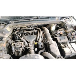 Desguace MonfortePEUGEOT 407 (6D_)PEUGEOTVehículos campa|Desguace Monforte
