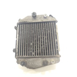 Desguace MonforteINTERCOOLER RF8G13565A MAZDAPiezas vehículos|Desguace Monforte