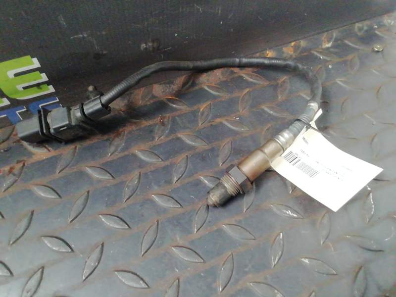 SONDA LAMBDA 55566184 