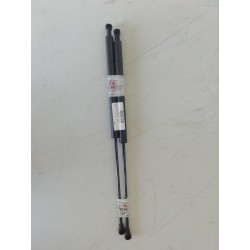 Recambio de amortiguadores maletero / porton para peugeot 206 berlina xr referencia OEM IAM   