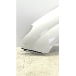 Recambio de aleta delantera izquierda para opel combo d 1.6 cdti referencia OEM IAM 95509343  