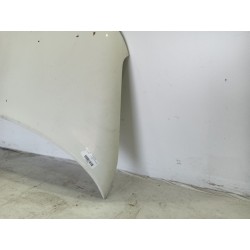 Recambio de capot para volkswagen t5 transporter/furgoneta t5 referencia OEM IAM   