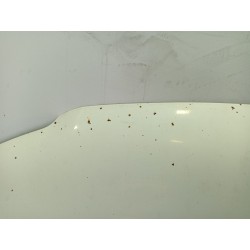 Recambio de capot para volkswagen t5 transporter/furgoneta t5 referencia OEM IAM   