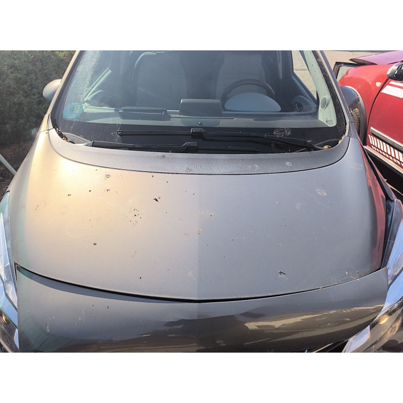 Recambio de capot para opel meriva b van (s10) 1.6 cdti (75) referencia OEM IAM   