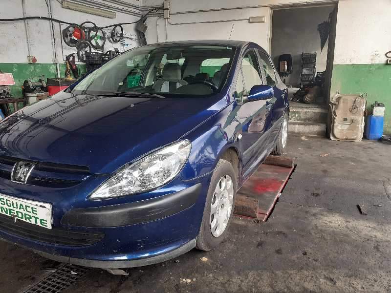 PEUGEOT 307 BERLINA (S2)