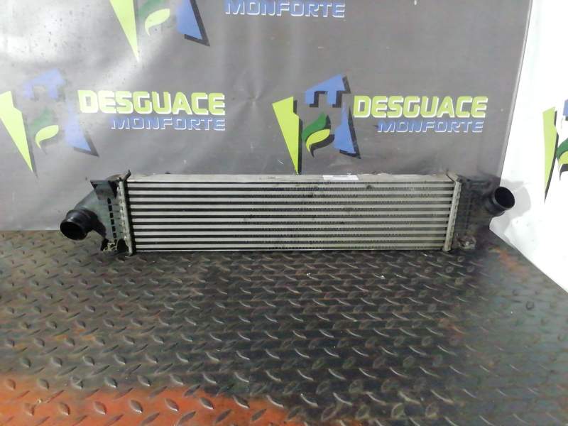 INTERCOOLER S4213005CZ 