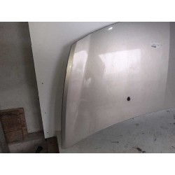 Desguace MonforteCAPOT 7751476113 RENAULTCapot|Desguace Monforte