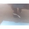 Desguace MonfortePUERTA TRASERA IZQUIERDA 41007203647 BMWPuerta trasera izquierda|Desguace Monforte
